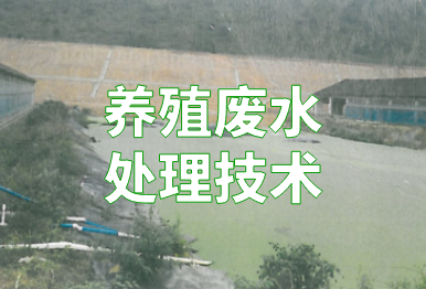 【環保干貨】養殖廢水如何處理？4個方法，快看你的豬場適合哪一種